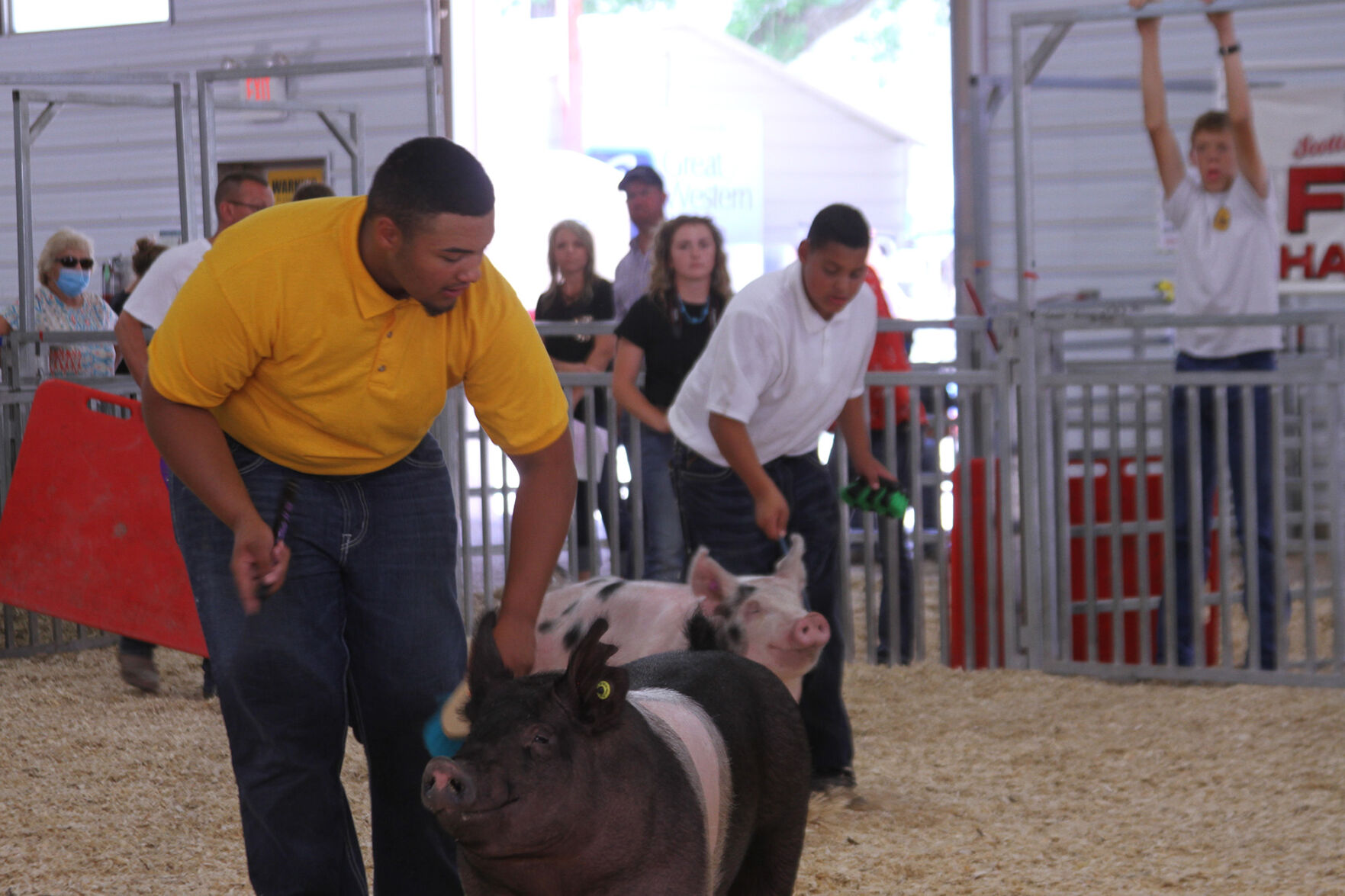 PHOTOS: Scenes from the Scotts Bluff County Fair